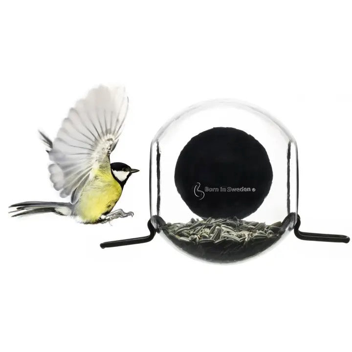 Bird Feeder - Window Mount Globe with 2 Perches