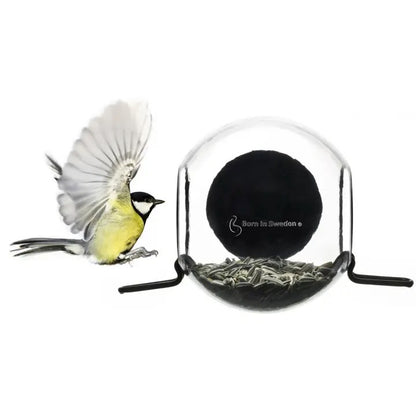 Bird Feeder - Window Mount Globe with 2 Perches