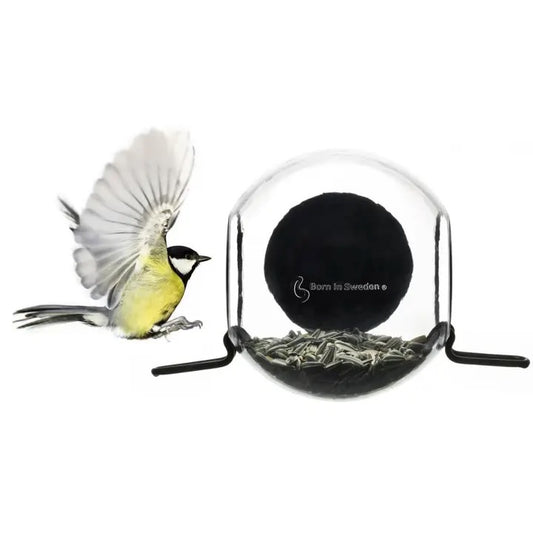 Bird Feeder - Window Mount Globe with 2 Perches