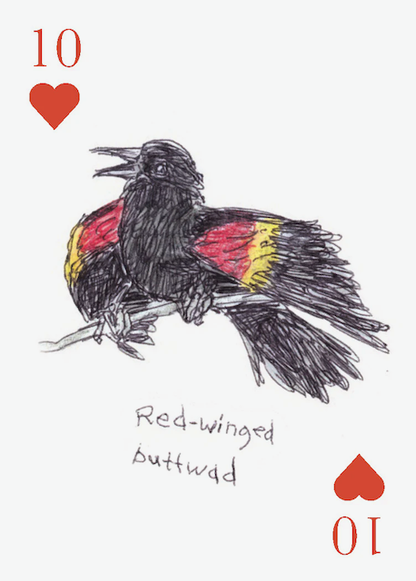 Field Guide to Dumb Birds - Playing Cards - 2 Deck Set