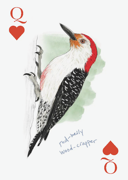 Field Guide to Dumb Birds - Playing Cards - 2 Deck Set