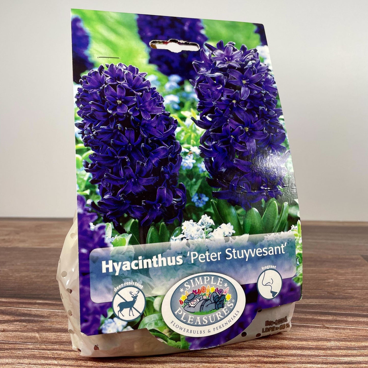 Bulb - Hyacinth 'Peter Stuyvesant' - 5pk