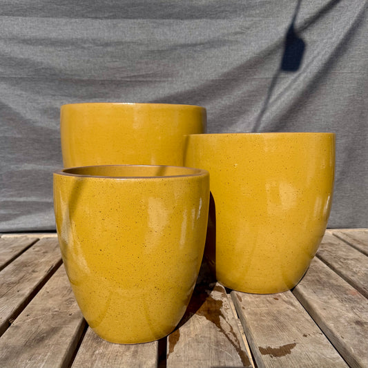 Andarax Planter - Sunflower