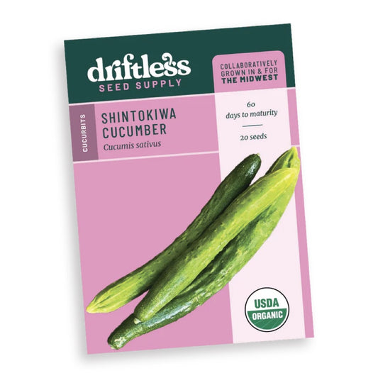 Cucumber 'Shintokiwa' Driftless Seed Supply - Organic