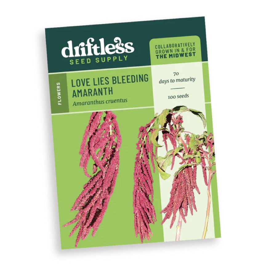Amaranth 'Love Lies Bleeding' Driftless Seed Supply