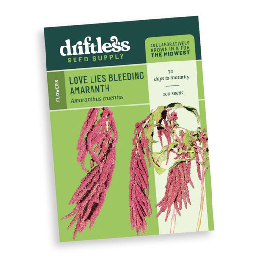 Amaranth 'Love Lies Bleeding' Driftless Seed Supply