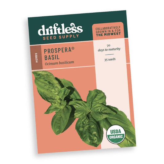 Basil 'Prospera' Driftless Seed Supply - Organic