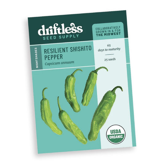 Pepper, Hot 'Resilient Shishito' Driftless Seed Supply - Organic