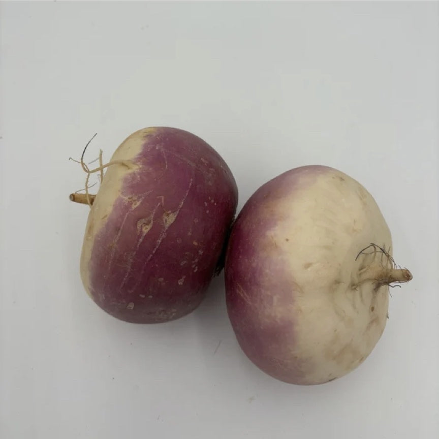 Turnip 'Purple Top White Globe' Driftless Seed Supply - Organic