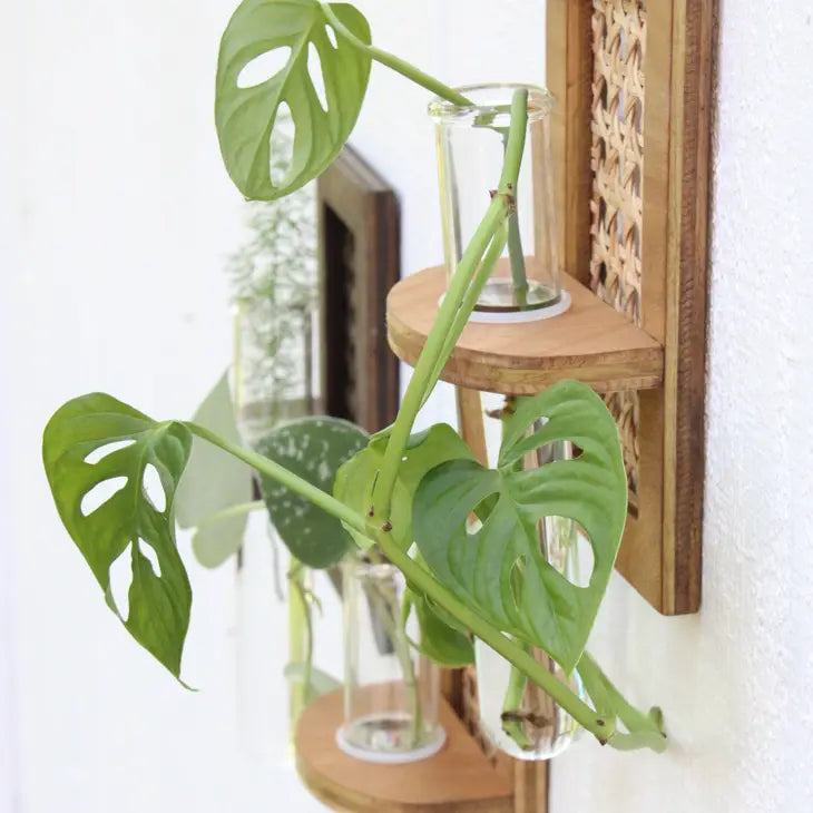 Dunn Rustic Propagation Planter - Rattan