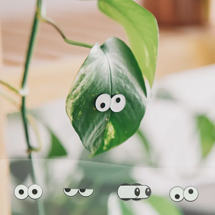 Houseplant Glow Eye Magnets - 4 pack