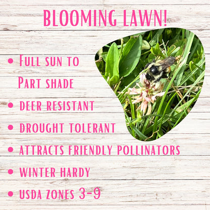 Bee Lawn Kit - Flowering Bee Lawn (no grass seed) - 500 sq ft