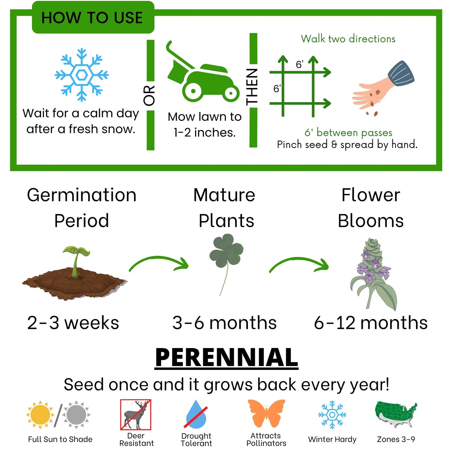 Bee Lawn Single Species Seed - Prunella vulgaris Self-Heal (MN Native) - 250 sqft (L2L)