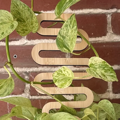 Floratrel - Indoor Houseplant Trellis - The Wayfinder