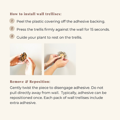 Floratrel - Indoor Houseplant Wall Trellises