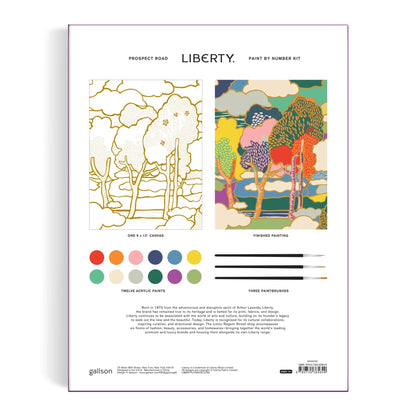 Paint by Number Kit - Liberty Prospect Road - 9x12in