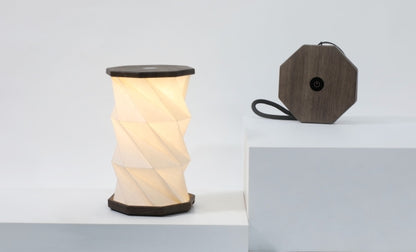 Mini Twist Hexagon LED Light