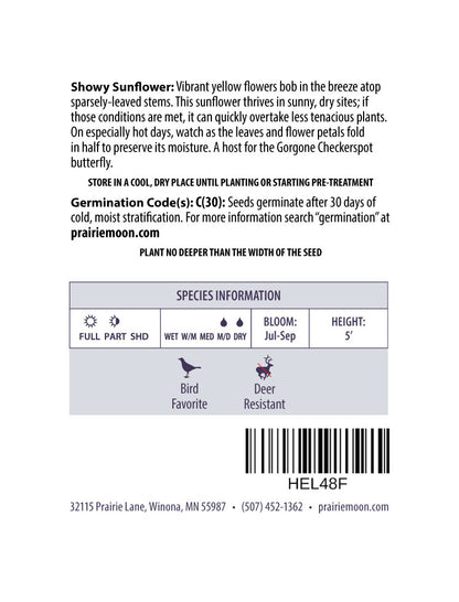 Showy Sunflower (Helianthus pauciflorus) Seeds - Prairie Moon Nursery