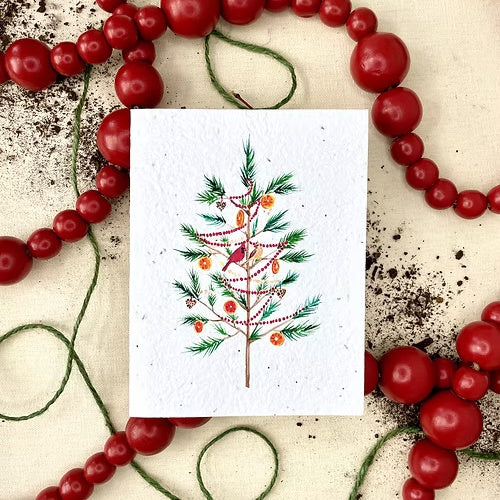 Notes of Eden Plantable Greeting Cards - Seasonal