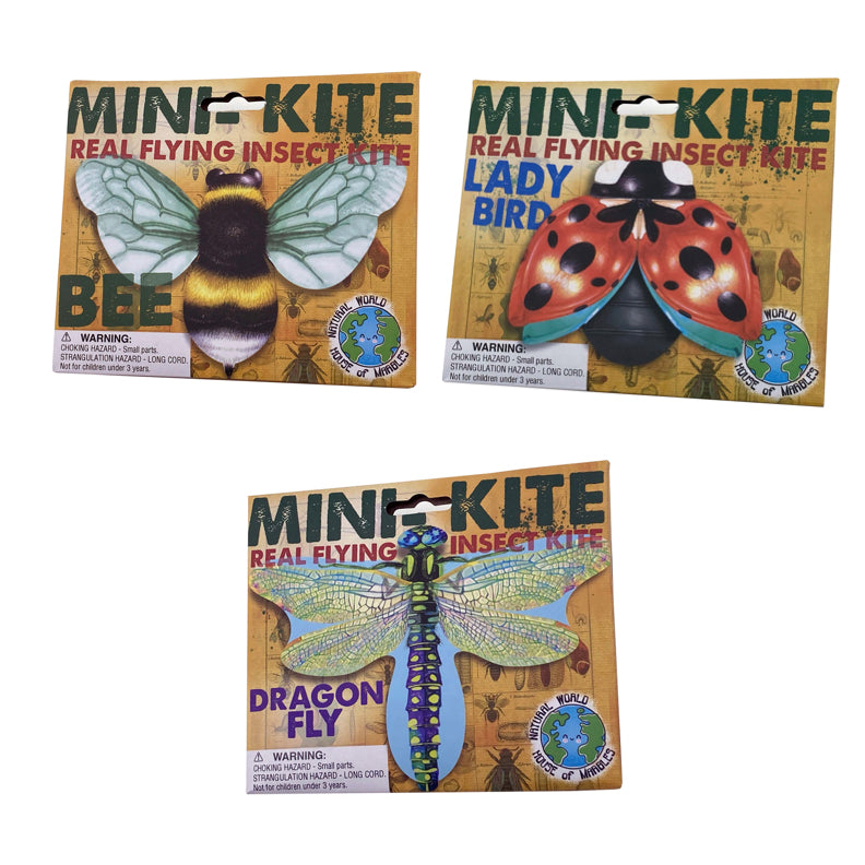 House of Marbles - Mini Insect Kites