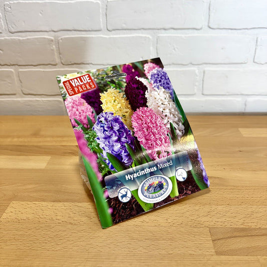 Bulb Hyacinth Blend 6pk