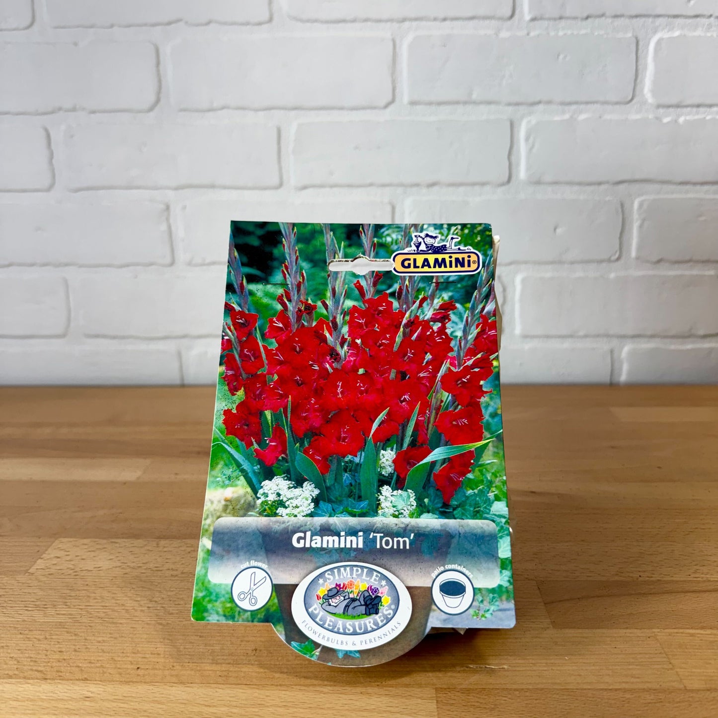 Bulb, Gladiolus 'Glamini Tom' 10/12 10pk