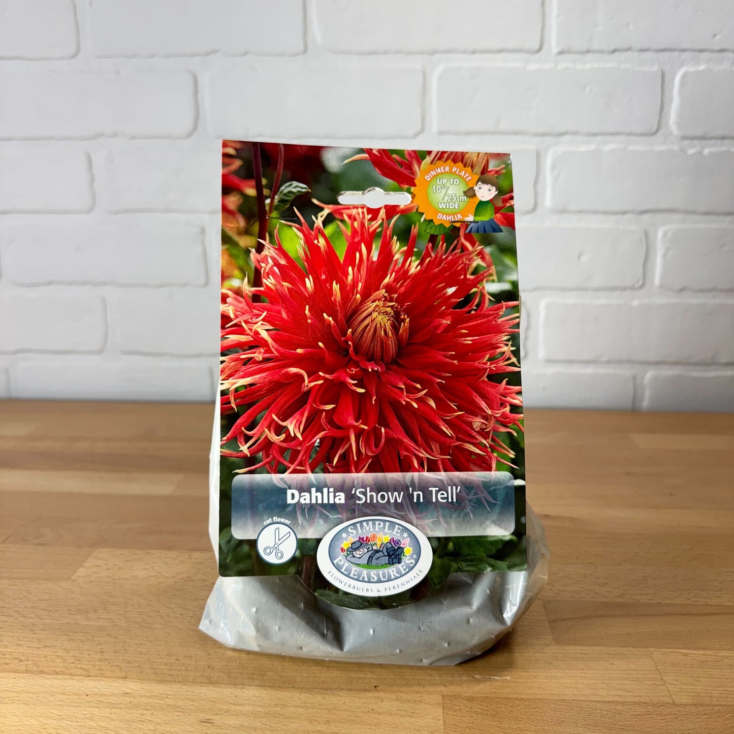 Bulb, Dahlia 'Dinner Plate Show 'n Tell' 1pk