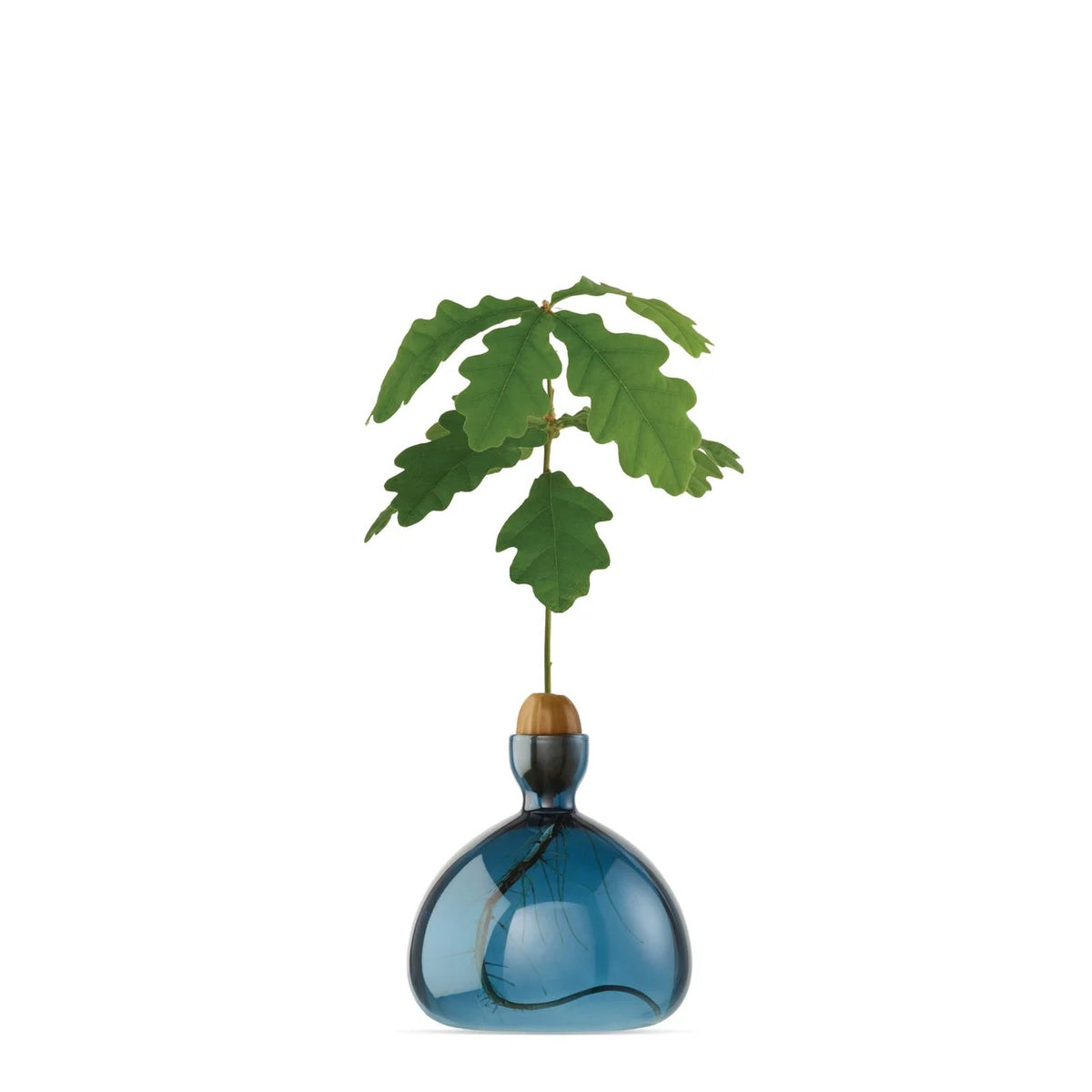 Ilex Studio Vase - The Acorn Vase