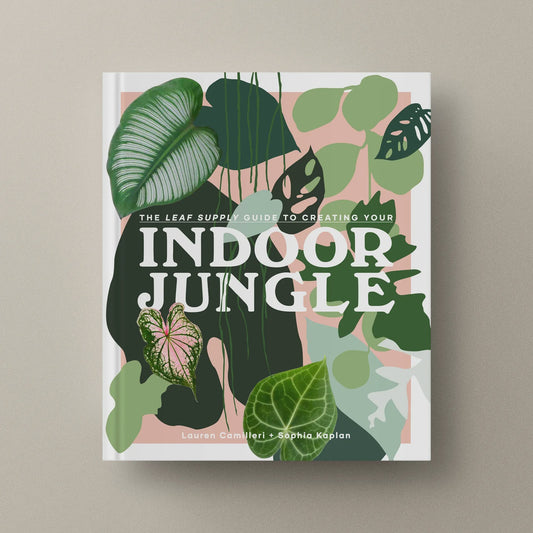 The Leaf Supply Guide to Creating Your Indoor Jungle