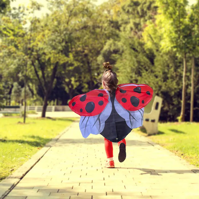 Dress-Up Insect Wings