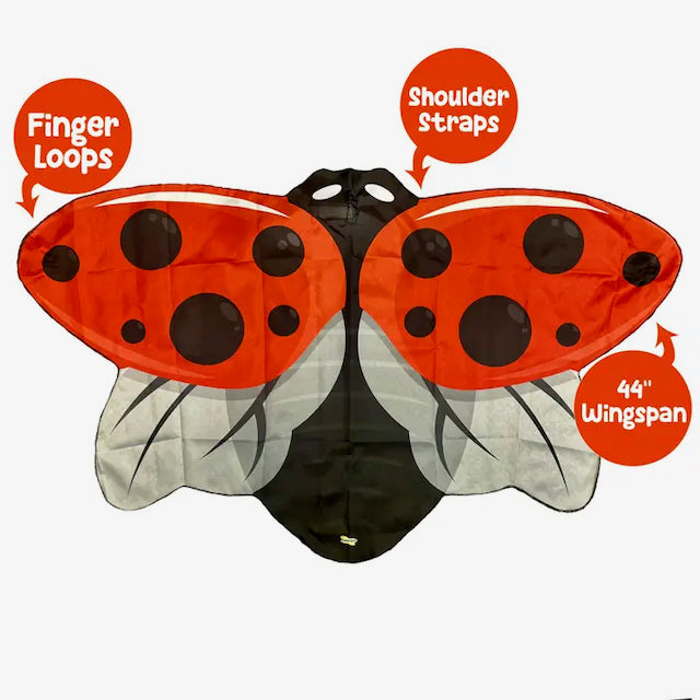 Dress-Up Insect Wings
