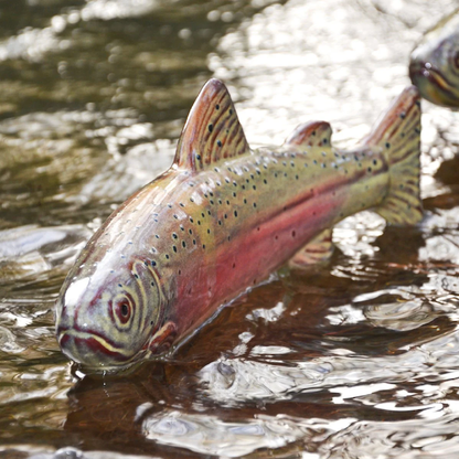 Ceramic Fish Garden Statues