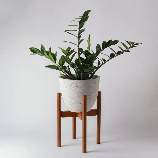Kanso Designs - Adjustable Bamboo Plant Stands