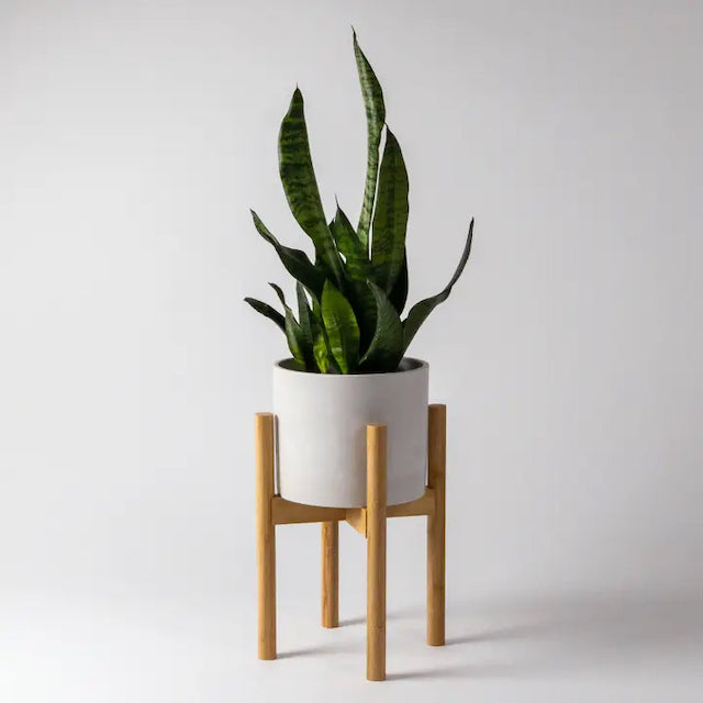 Kanso Designs - Adjustable Bamboo Plant Stands