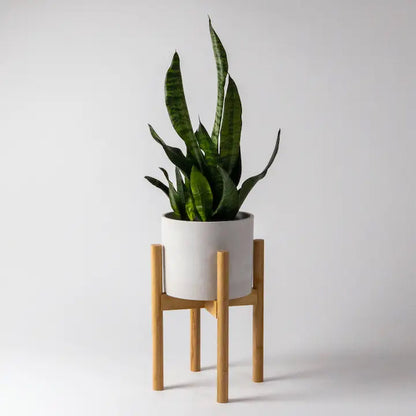 Kanso Designs - Adjustable Bamboo Plant Stands