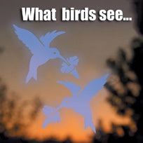 Window Alert Birding Decals - 4-pack