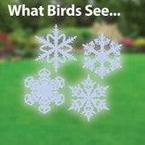 Window Alert Birding Decals - 4-pack