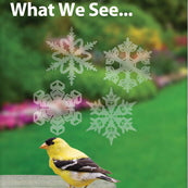 Window Alert Birding Decals - 4-pack