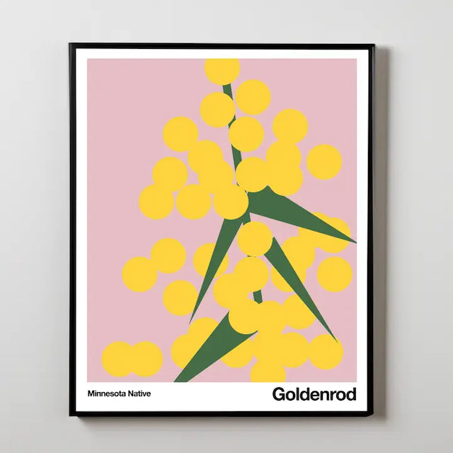 Minimalist Art Prints - Minnesota Plants