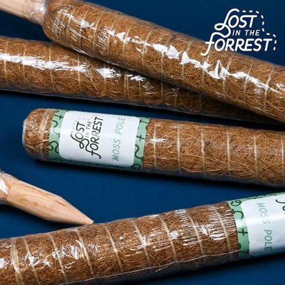 Lost in the Forrest - Stackable Coir Pole