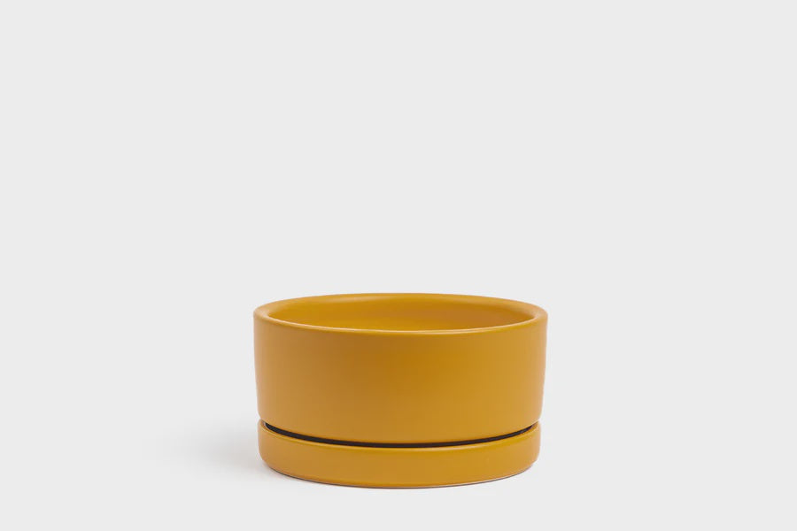 Low Bowl w Saucer - Mustard