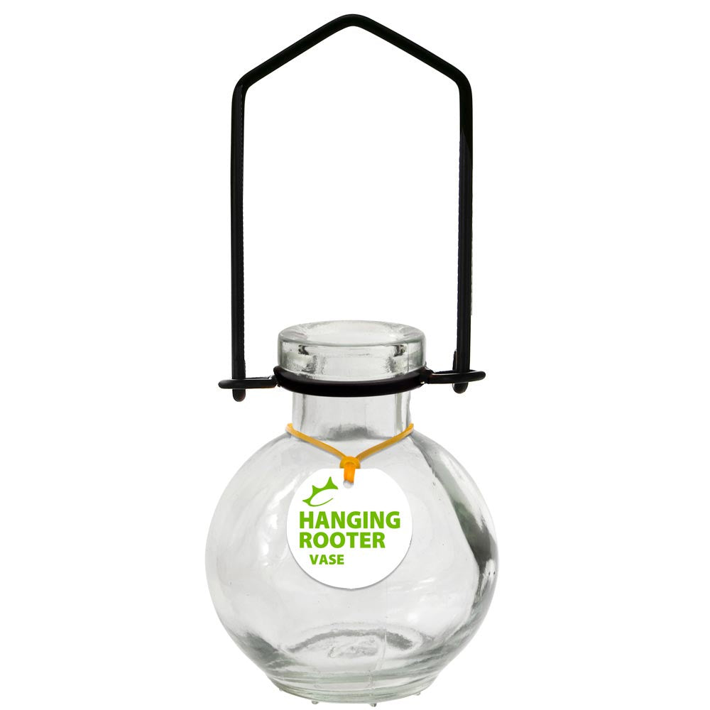 Small Hanging Glass Rooting Vases 3.4oz