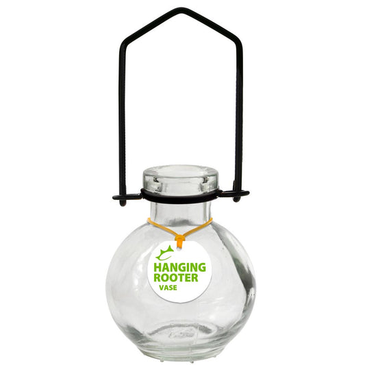 Small Hanging Glass Rooting Vases 3.4oz