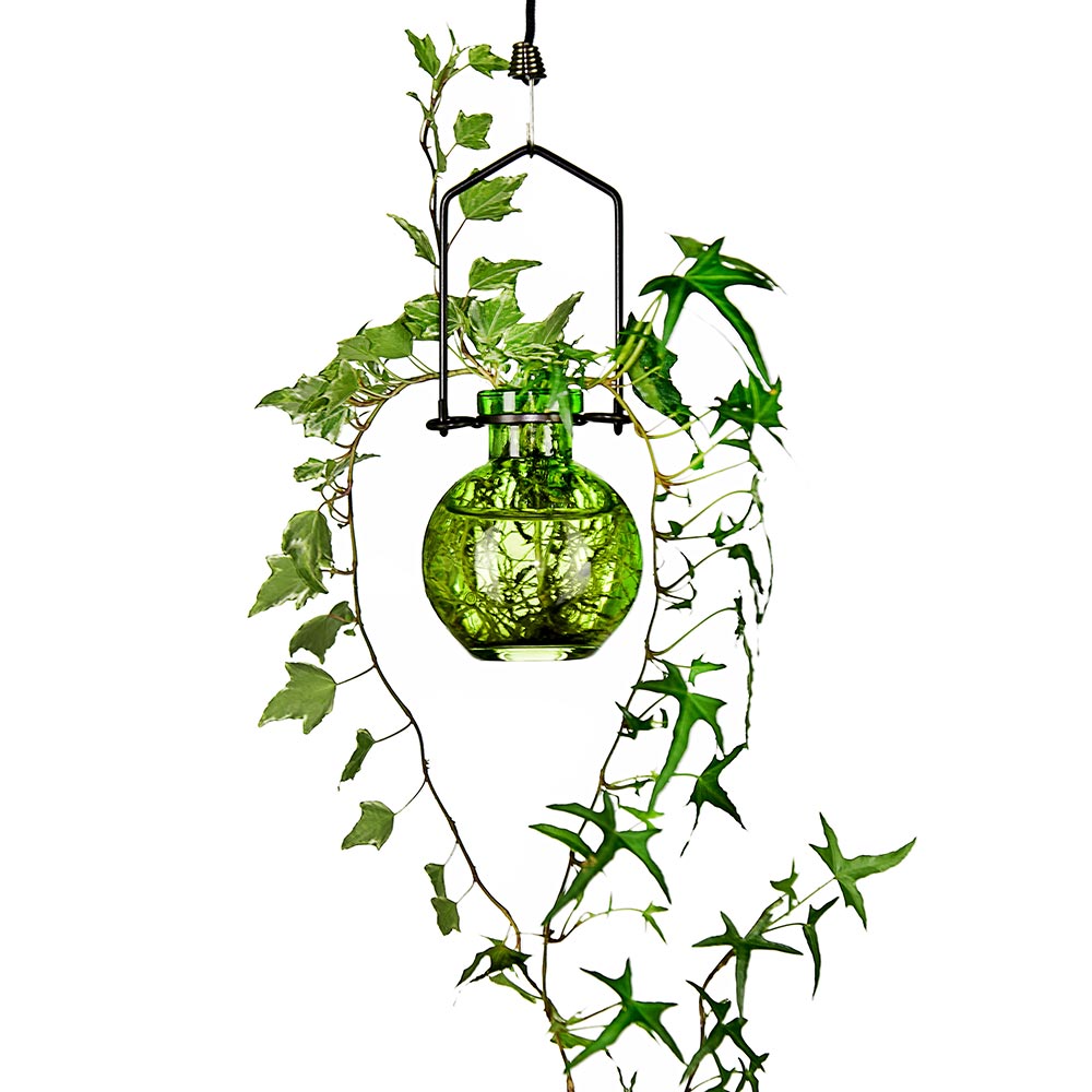 Small Hanging Glass Rooting Vases 3.4oz