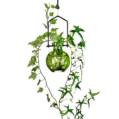 Small Hanging Glass Rooting Vases 3.4oz