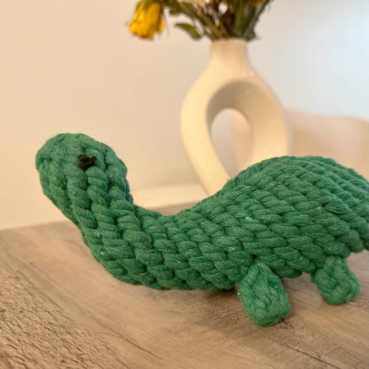 Rex the Green Dinosaur Rope Pet Toy
