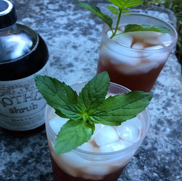 MOTHER Shrub Non-Alcoholic Drinking Vinegar Trio - Gift Set