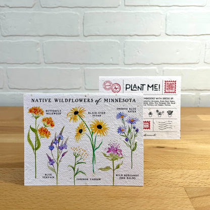 Notes of Eden Plantable Greeting Cards - Botanicals & Fungi