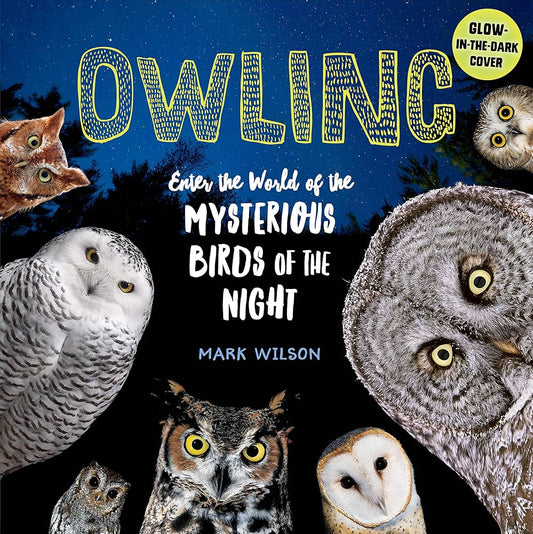 Owling Enter the World of the Mysterious Birds of the Night