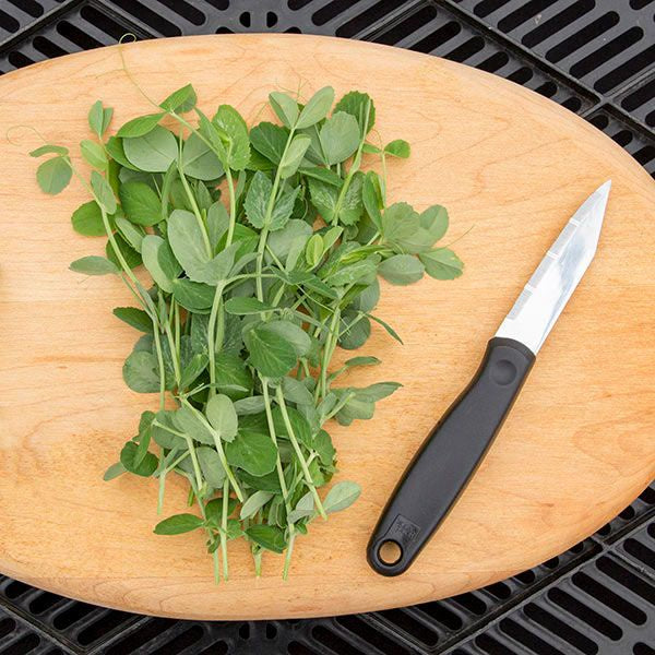 High Mowing Organic Seed Pea Shoots 2oz